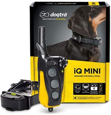 קולר אלקטרוני Dogtra IQ mini